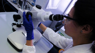 Scoperti con l'IA nuovi antibiotici dai microbi più antichi