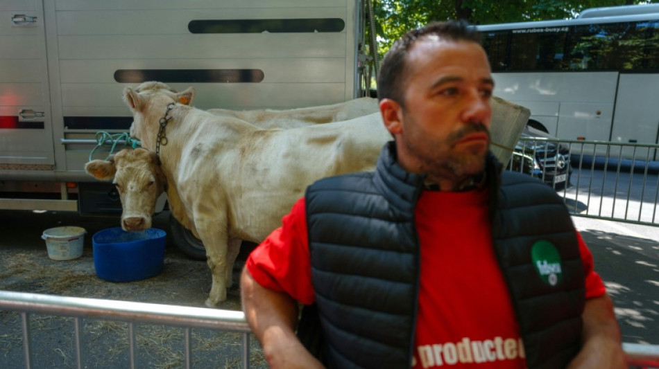 Accord UE-Mercosur: quel impact sur l'agriculture europ&eacute;enne ?