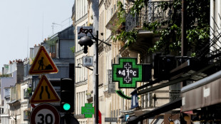 La canicule atteint son pic, l'&Icirc;le-de-France suffoque