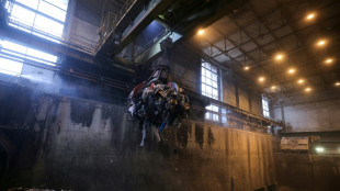 Dans un incinérateur francilien, voyage au centre des déchets