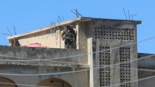 L&iacute;der sirio delega la seguridad de Sueida en los drusos