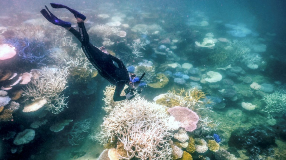 L'Australie doit prendre des mesures "urgentes" pour prot&eacute;ger la grande barri&egrave;re de corail, selon l'Unesco