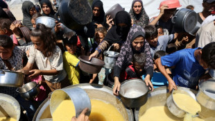 L'&eacute;missaire de Trump promet davantage d'aides humanitaires apr&egrave;s une visite &agrave; Gaza