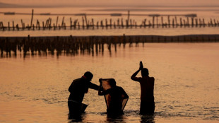 &Iacute;ndia se prepara para receber 400 milh&otilde;es de peregrinos em enorme festival religioso