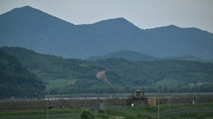 Seoul: Nordkoreanische Minen vermutlich Ausl&ouml;ser von Explosion in Grenzgebiet