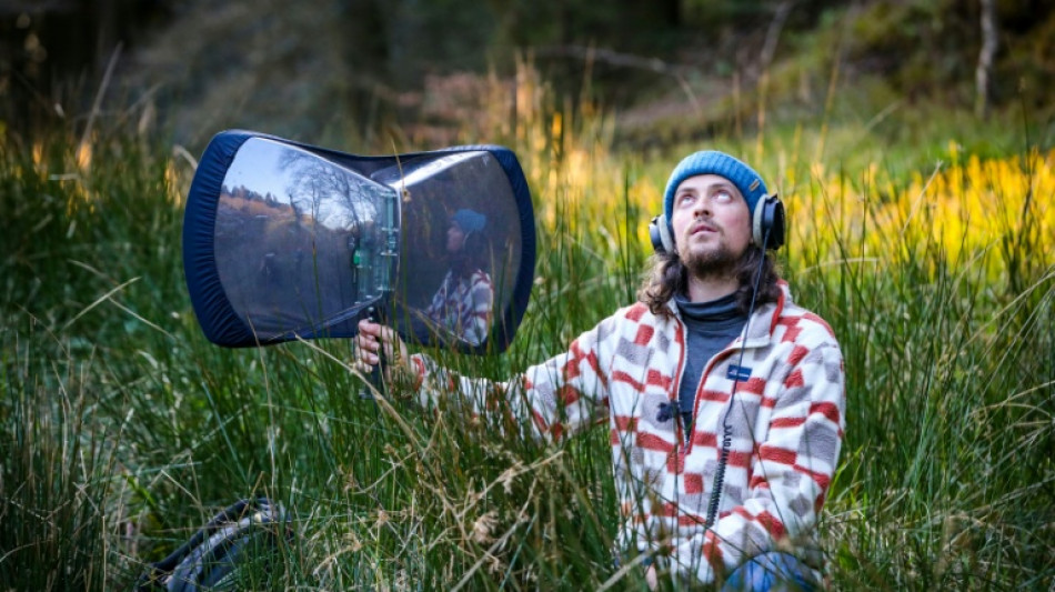 In tune with nature: expert sounds out all of Ireland's bird species