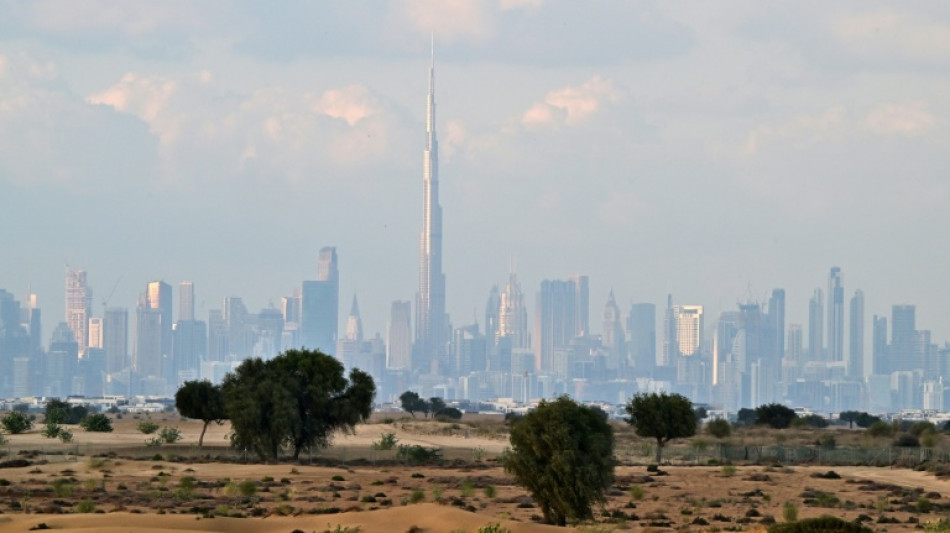 Illegale Gesch&auml;fte mit Immobilien in Dubai: Geldstrafen f&uuml;r Angeklagte in Hamburg