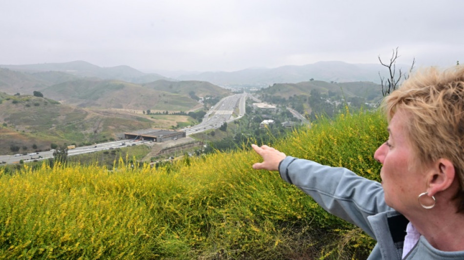 A Los Angeles, un &eacute;norme pont pour animaux con&ccedil;u pour sauver les pumas