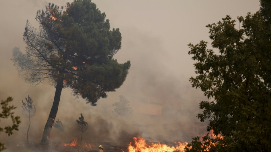 Los incendios en Portugal causan un tercer fallecido