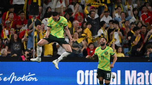 Socceroos starting to gel as World Cup edges closer