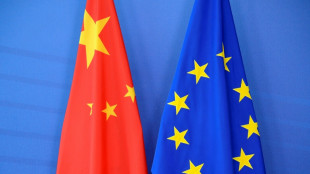 Chinesische Delegation reist zu Verhandlungen &uuml;ber Seltene Erden nach Br&uuml;ssel