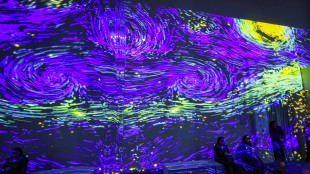 L'IA impara a smascherare i quadri falsi, testata sulle opere di Van Gogh