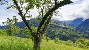 Biodiversità elevata in Alto Adige, ma la pressione cresce