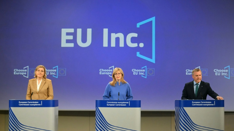 La UE presenta un nuevo modelo jur&iacute;dico para emprendedores