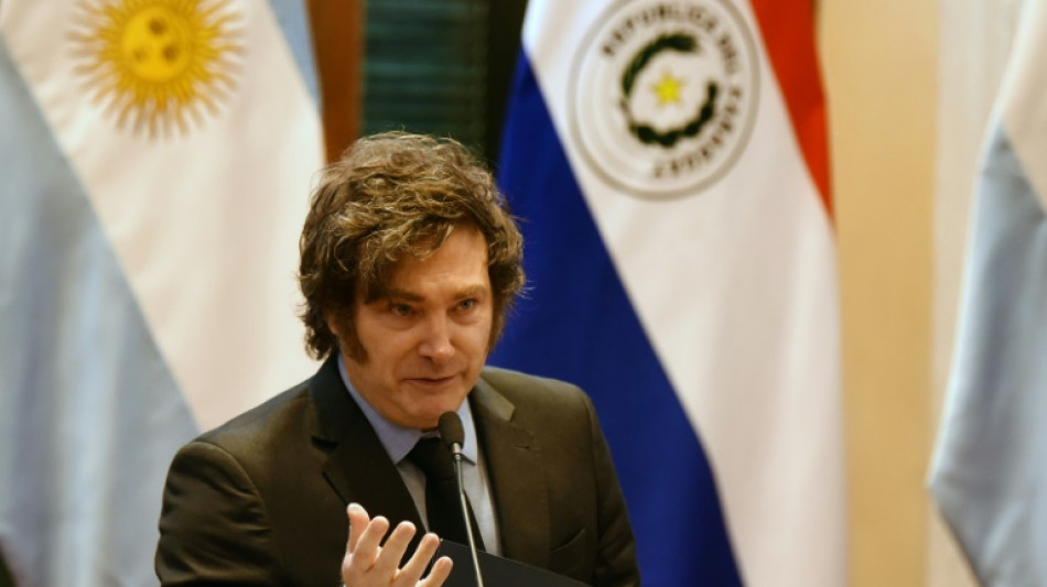 Erfolg für Präsident Milei: Argentinien erhält Finanzspritzen von 42 Milliarden Dollar