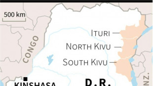 Militia kill at least 69 in DR Congo: local, security sources