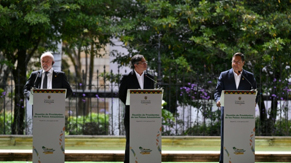 Colombia, Brasil y Bolivia unen fuerzas por la Amazon&iacute;a de cara a la COP30 