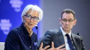 ECB chief thanks Davos 'euro-bashers' as welcome wake-up call