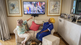 Eccitabili o paurosi, i cani guardano la tv in base al carattere