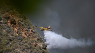 Al menos 11 fallecidos y 19 personas sin localizar en un voraz incendio en el sur de Espa&ntilde;a