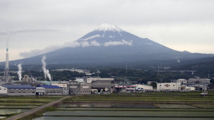 Troppi turisti per una foto, barriera bloccher&agrave; vista Monte Fuji