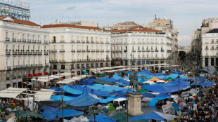 Espagne : face &agrave; la col&egrave;re sociale, le gouvernement s'attaque &agrave; la crise du logement