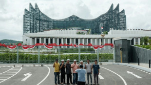 Nusantara: la nueva capital de Indonesia corre el riesgo de ser un "elefante blanco"