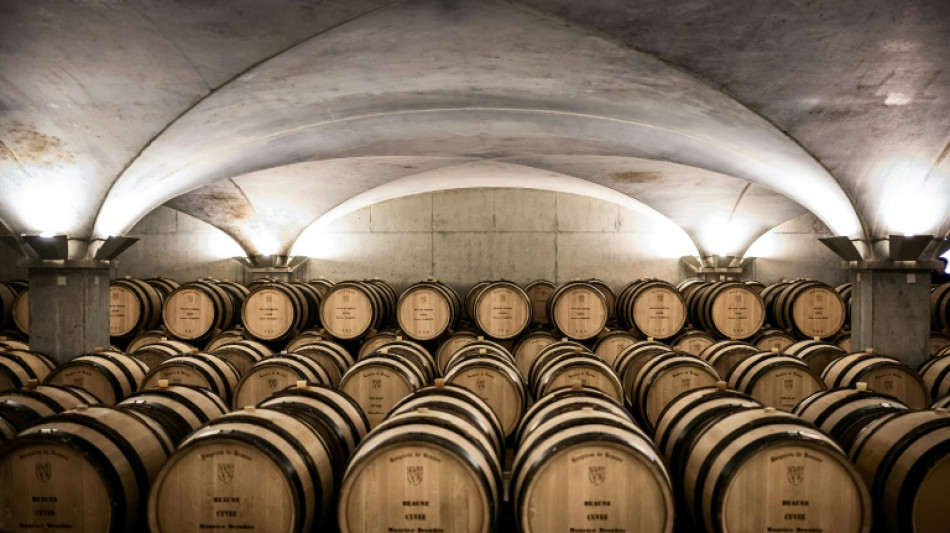 Vins: les ench&egrave;res des Hospices de Beaune vers de nouveaux records?