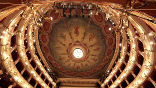 Il 47/o Rof a Pesaro con 32 eventi, Palacio 'mostriamo due anime, seria e buffa'