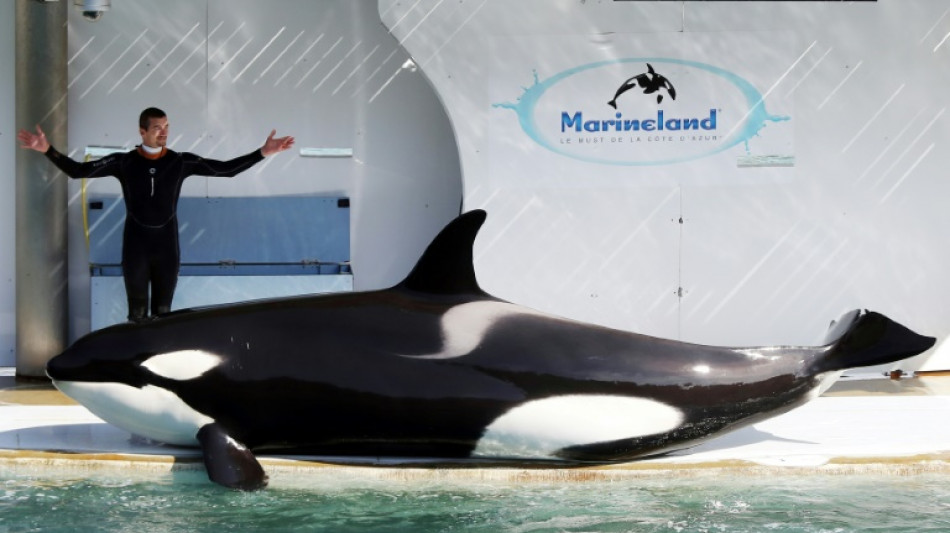 Spain marine park defends facilities after France orca transfer blocked