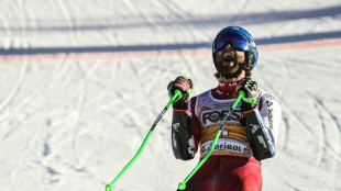 Ski alpin: Schwarz reverdit &agrave; Alta Badia