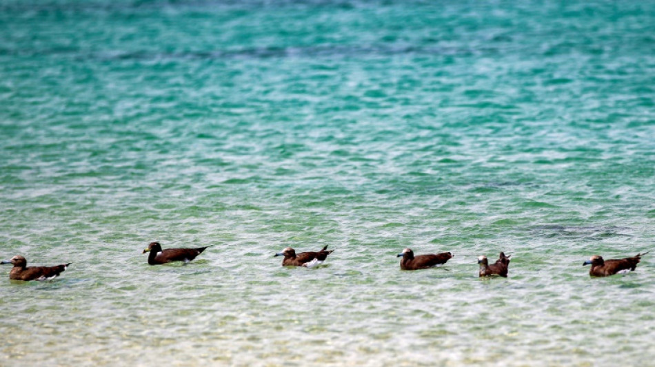 Decenas de muertos por ataques estadounidenses en un puerto de Yemen