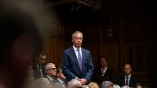 UK's Farage under the cosh over undeclared finances