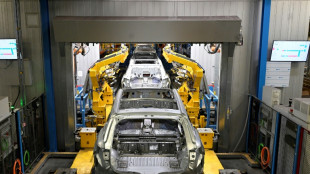 Stimmung der Unternehmen in Deutschland steigt - aber Unsicherheiten nehmen zu