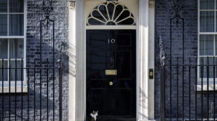 Il vecchio gatto Larry attende Burnham, la stabilit&agrave; a Downing Street &egrave; lui