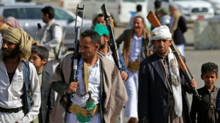 Yemen's Houthis take over strait vital to global shipping