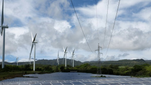 Frankreichs Nationalversammlung stimmt gegen Moratorium f&uuml;r erneuerbare Energien 