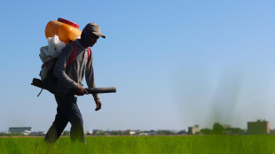 Dall'Ue nuovi aiuti per gli agricoltori contro il caro prezzi dei fertilizzanti