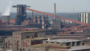 Zwei Tote bei Absturz von Kleinflugzeug &uuml;ber Stahlwerk in Niedersachsen