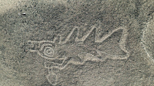 Descubren con ayuda de la IA m&aacute;s de 300 nuevos geoglifos en el desierto peruano de Nasca