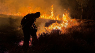 Brasil registra un r&eacute;cord de incendios forestales entre enero y abril