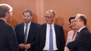 Ende von Turbo-Einb&uuml;rgerungen und Aussetzung von Familiennachzug im Kabinett