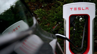 Tesla construir&aacute; una planta de almacenamiento de electricidad en China