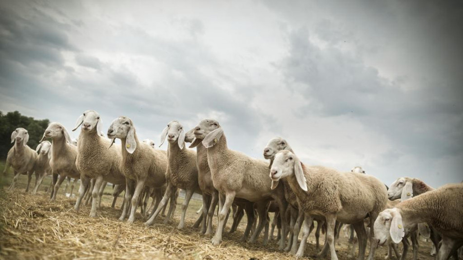 Alpi, l'erosione accelerata dall'uomo da 4 a 10 volte