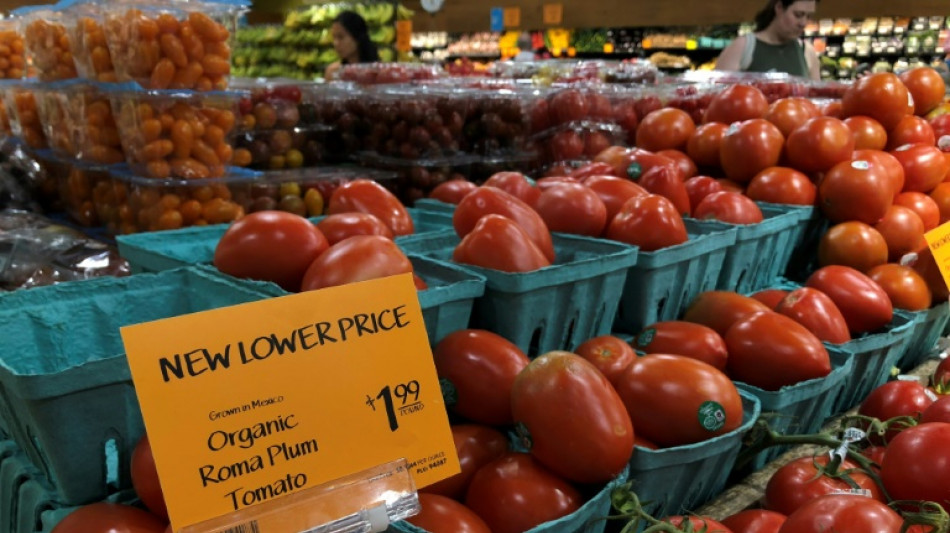 EEUU impone arancel del 17% a la mayor&iacute;a de los tomates mexicanos&nbsp;