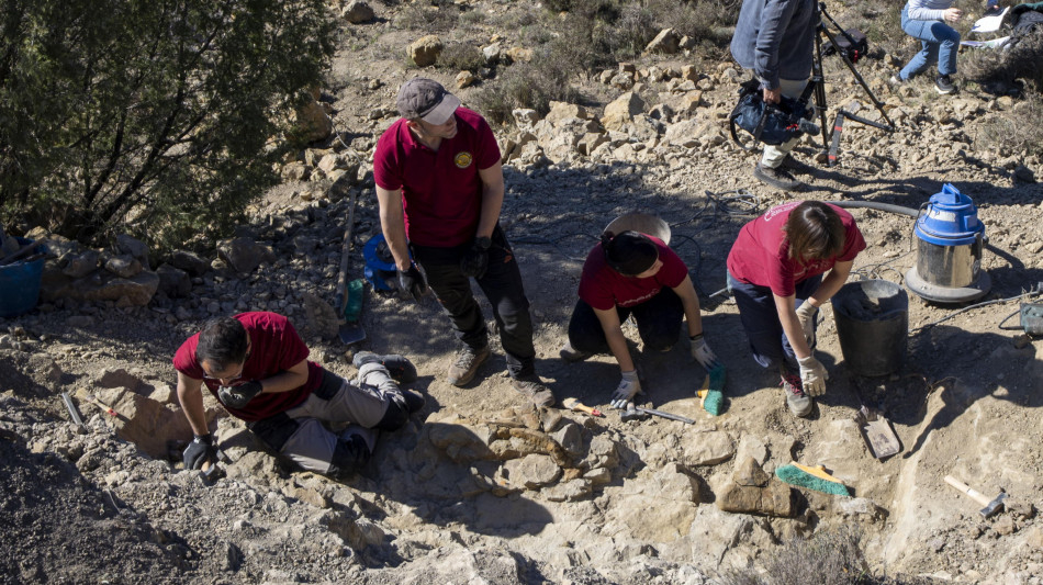 La pi&ugrave; antica impronta di un rettile riscrive l'evoluzione
