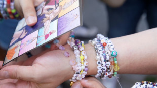 EEUU dio informaci&oacute;n a Austria para impedir el atentado contra los conciertos de Taylor Swift