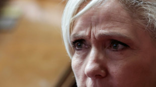 Musk afirma que Le Pen, candidata presidencial de extrema derecha, es "la &uacute;ltima esperanza de Francia"