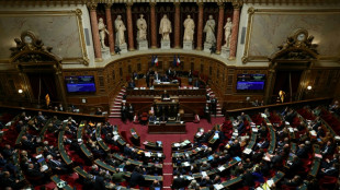 Aides publiques aux entreprises: le S&eacute;nat rend un rapport sur cette manne aux contours un peu flous