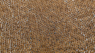 Schlag gegen illegale Zigarettenherstellung: Festnahmen in Berlin und Brandenburg